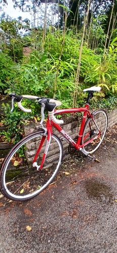 Scott s50 speedster cherry red - speedster,