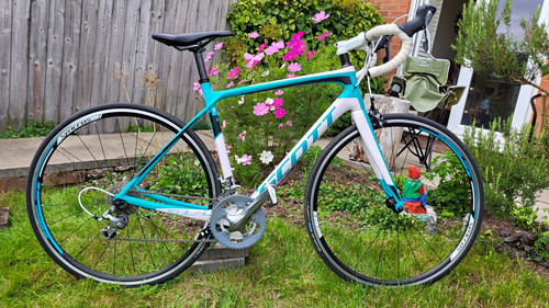 51cm scott contessa - scott,